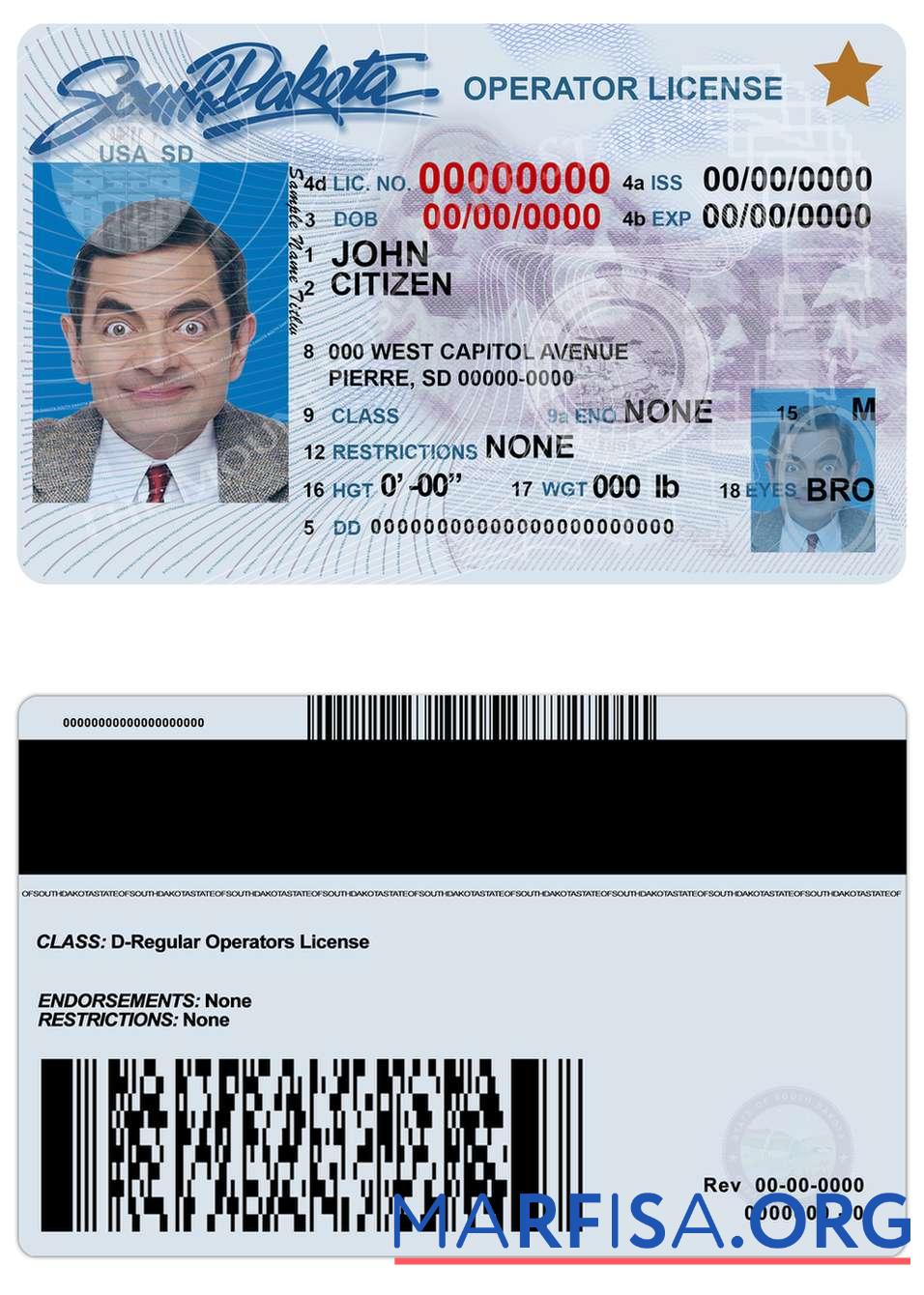 Printable USA South Dakota driving license example